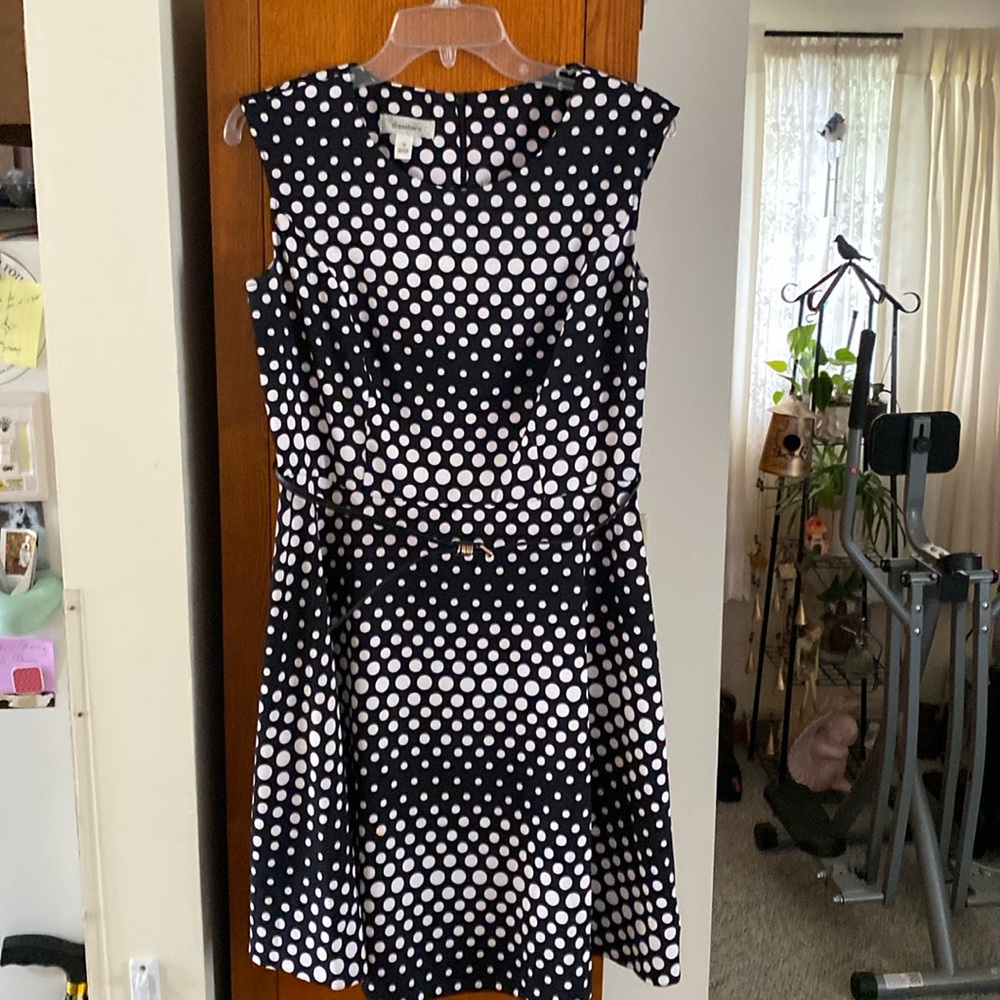 Dressbarn dress